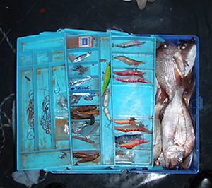 Snapper “stashes” exposed